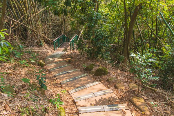 [嘉義]蘭潭水庫、紅毛埤山2757640