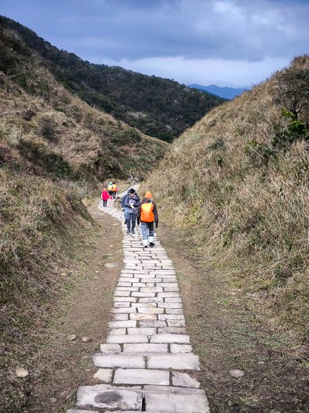 2025-01-19 大里天公廟~埡口2695381