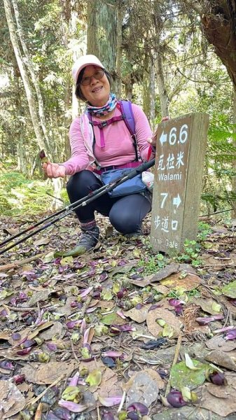 瓦拉米步道-人物篇1327178