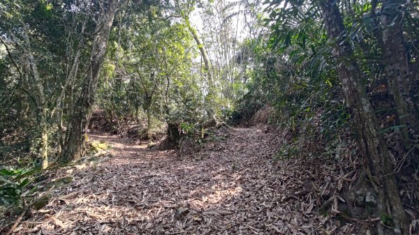 西阿里關山3033626