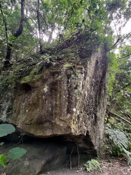 【新竹縣北埔鄉】五指山步道2833624