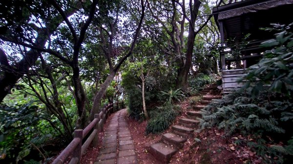 土城牛埔頭山，大安圳賞蝶步道，中和國旗嶺，鄧公嶺，長壽山，白馬寺，羊稠森林步道1811012