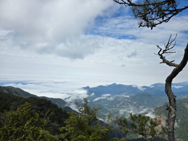 鳶嘴山+稍來神木2709894