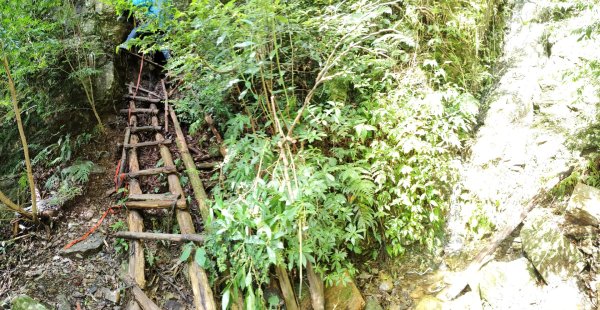 2025/7/12、7/13 西巒大山2839181