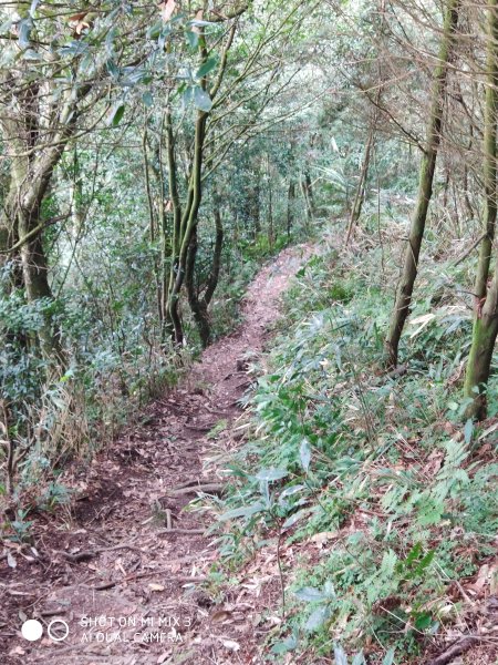 五指山五連峰純路況530525