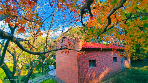 #花卉試驗中心 #永公路500巷 #平菁街42巷 #原住民公園 #士林官邸 1/42976628