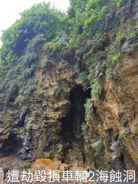南澳神秘沙灘訪金鋼女王石、海蝕洞1736154