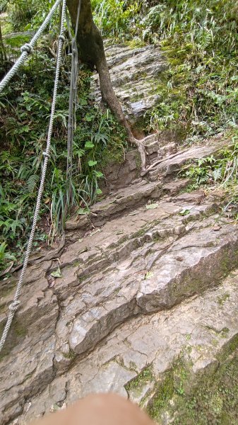 棲松縱走未竟2918323