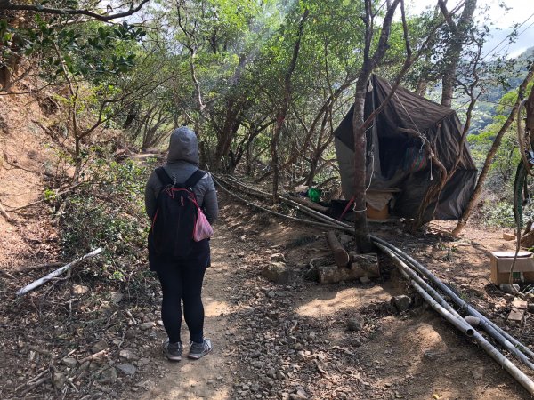 2020.03.08里龍山878280