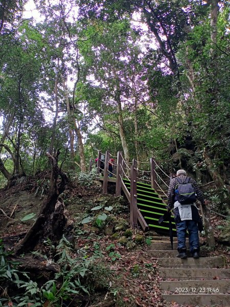 四訪苗栗的花果山-小百岳#037馬那邦山、雪霸國家公園管理處【小百岳集起來、苗栗-臺灣百大必訪步道】2394329