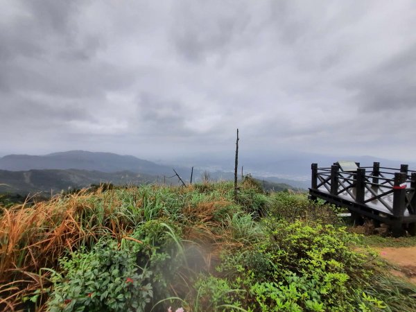 20230226 基隆姜子寮山（小百岳）2044659