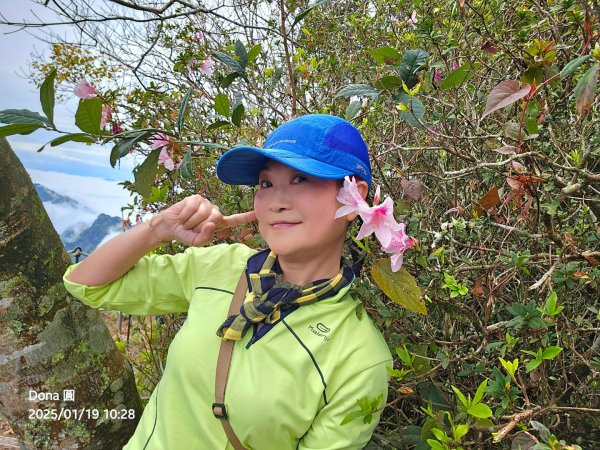 小百岳馬那邦山(H1407m)加碼採草莓2694669
