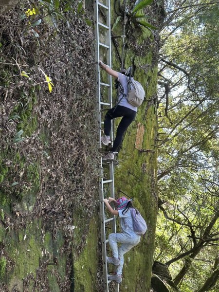 20251116五寮尖2942252