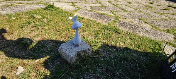 通霄神社+虎頭山公園-2025/11/152939316