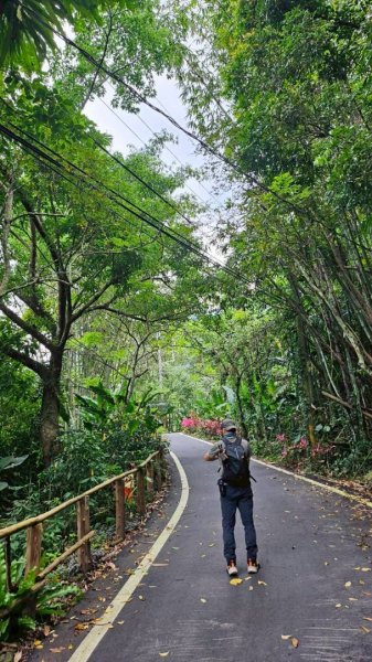 20250918達娜伊谷生態公園走巨石板步道🪨2890209