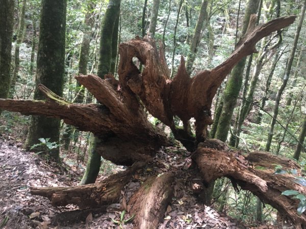 高島縱走（石麻達山2592528