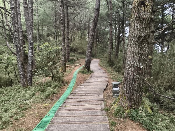 [玉山尋寶任務-08/12] 2025_0824 鹿林山步道_鹿林前山2870925