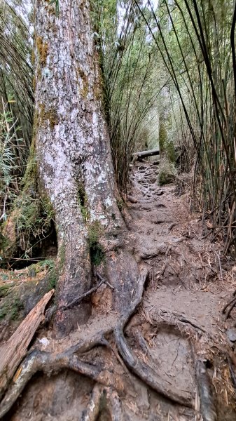 合歡西峰單攻1216885