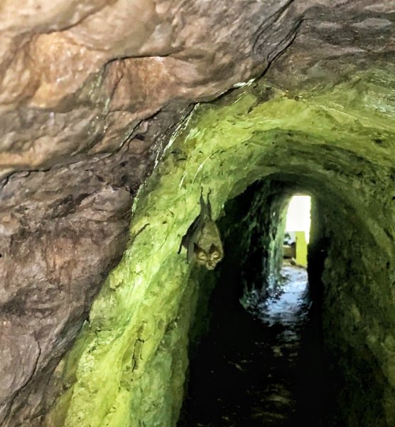 苗栗大湖 伯公潭古圳道1754315