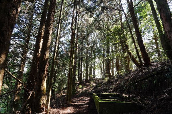 台中 和平 馬崙山2796953