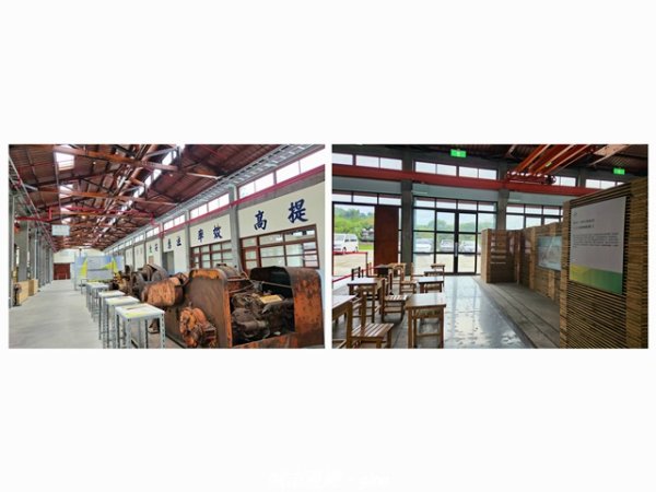 【台中東勢】東勢林業文化園區x許良宇圖書館3081529