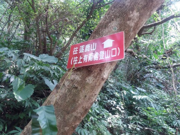 108.08.17 三峽  雲森瀑布654720