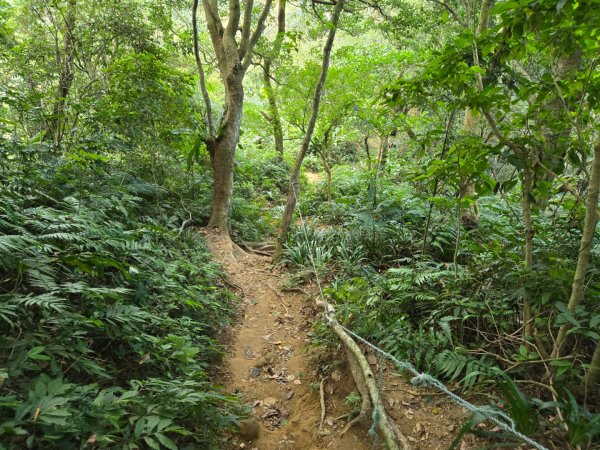 桃園石門山（小百岳）2910055