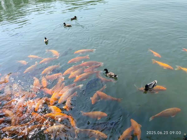 北京北海公園2829660