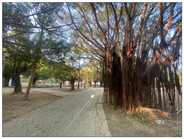 港坪運動公園 (嘉義市)3008884