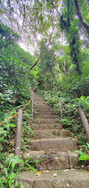 2024-06-15觀音山【福隆山、尖山(占山)登山步道】O走2528214