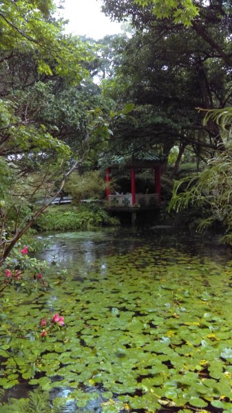 風光明媚、流連忘返的陽明公園、前山公園977873