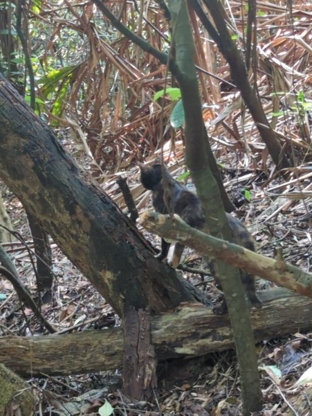 2025.06.21－劍金縱走2817059