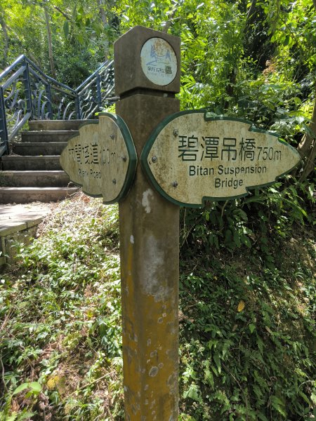 20250917微笑山線：【二格山系】和美山螢火蟲段2888895