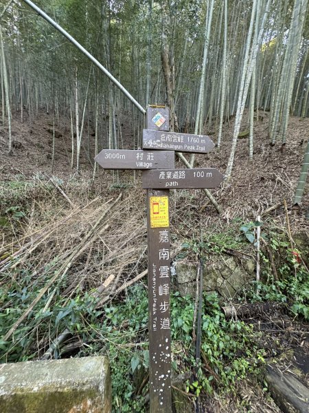 20251221嘉南雲峰、石壁山登山步道2968077