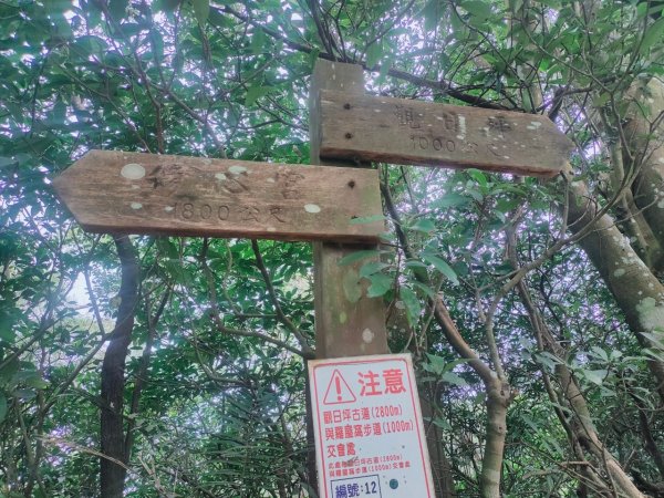 新竹［飛鳳山+中坑山+石壁潭山+大板根o形縱走］2231645