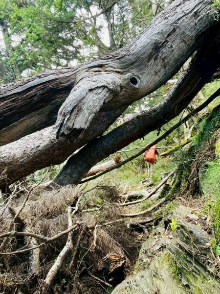 2025/09/13-14 小完美畢祿2926570