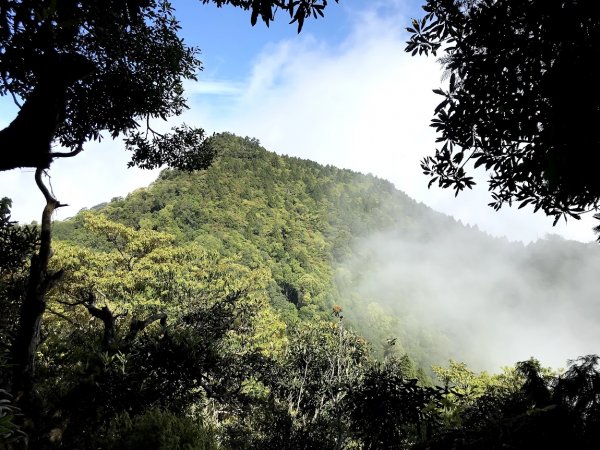 高島縱走（高台山連走島田山）202105081968749