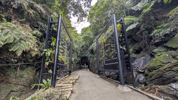 114.12.20劉銘傳隧道-獅球嶺北峰-獅球嶺東砲台山-獅球嶺池-獅球嶺砲台山之旅2966682