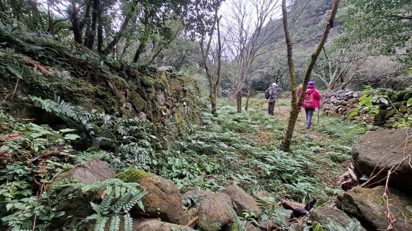 台北大縱走第一段1249206
