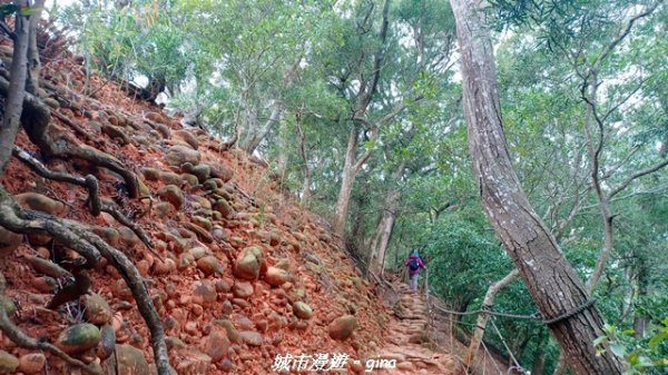 【苗栗三義】台灣百大必訪步道。 火炎山、南鞍古道O繞x火炎山下花海2954157