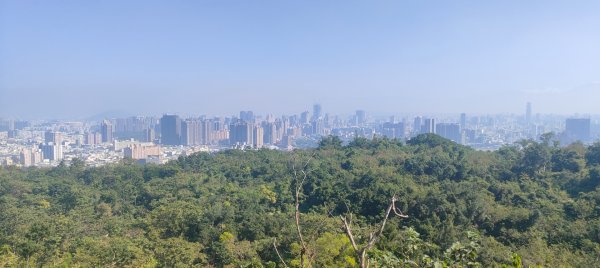 高雄壽山、半屏山2943051