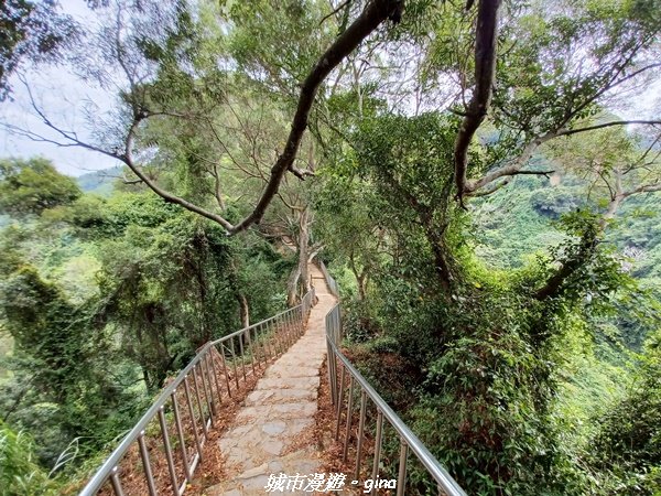 【彰化田中】蓊鬱森林有點陡。 田中森林登山步道1925580