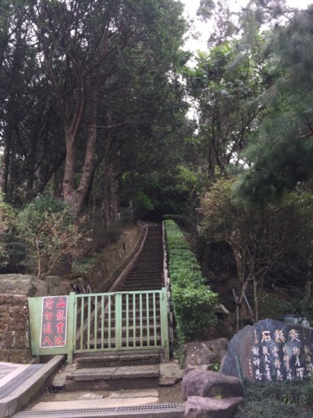 北縱七段抓了10隻博蒂742219