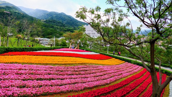 北投社三層崎3010997