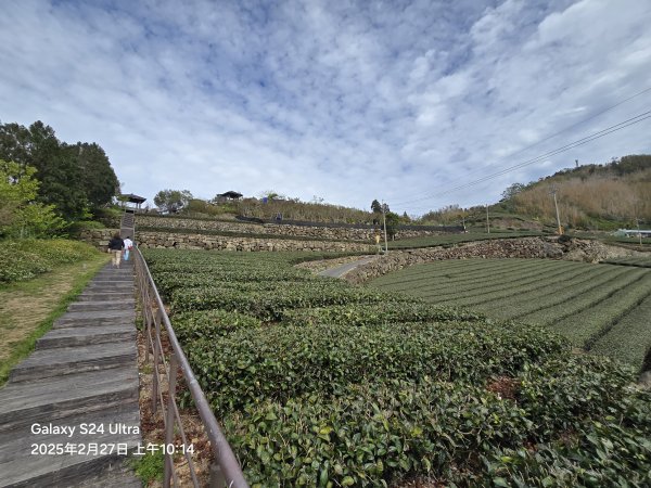 2025-02-27二延平步道2725413