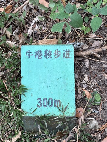 2025-09-06 牛港稜山步道2883859