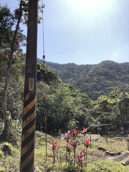 獅公髻尾山連走伏獅山接九芎坑山(玉桂嶺)912569