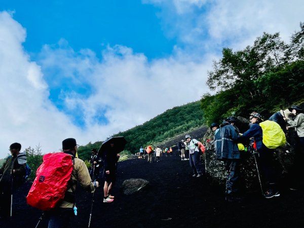 1150814-15 JP 富士山3110349