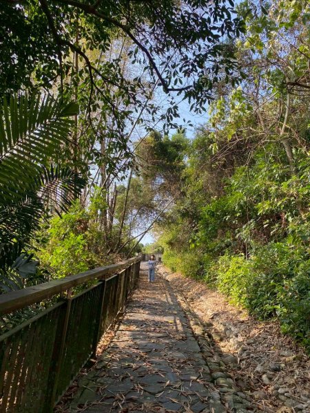 🌈3/7（六）茂林紫斑蝶×龍頭山小長城×多納部落✨FB：熊熊趴爬走🌈3011520