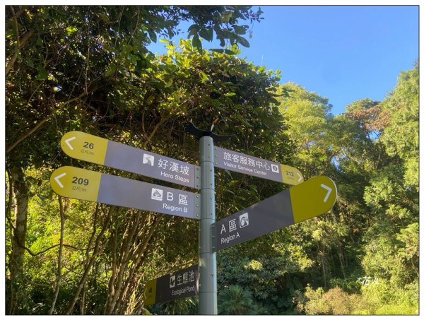 鳳凰谷鳥園步道2695873